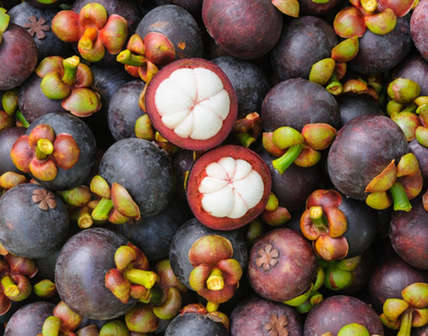Mangoustan fruit